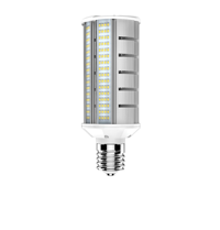 Wallpack LED Bulbs